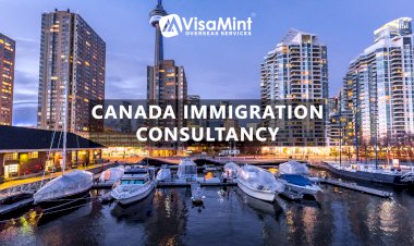 Move Abroad with the Best Immigration Consultant in India