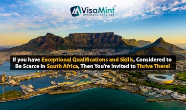 Critical skills visa- truly critical!!!
