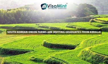 South Korean Onion Farms are Inviting Graduates from Kerala