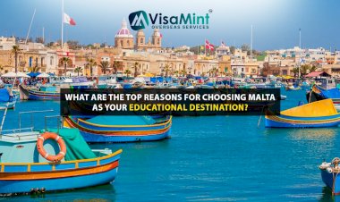 What are the top reasons for choosing Malta as your Educational Destination?