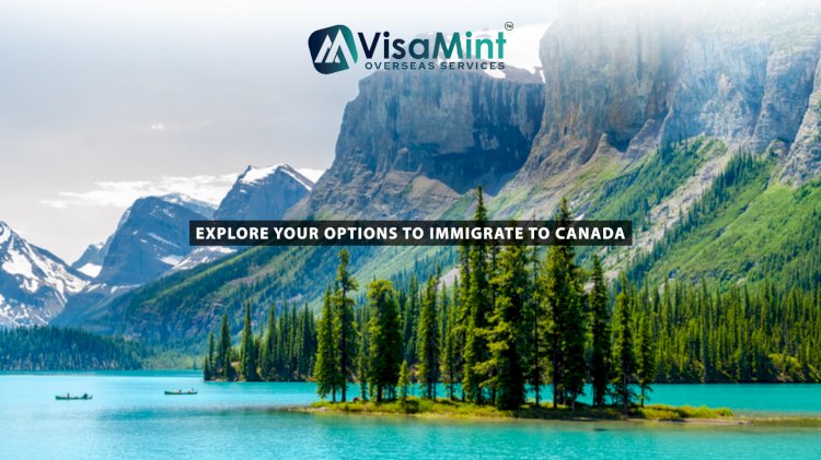 Best Canada Immigration Consultant in Hyderabad – Explore your options to immigrate to Canada.