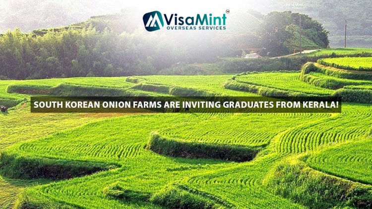 South Korean Onion Farms are Inviting Graduates from Kerala