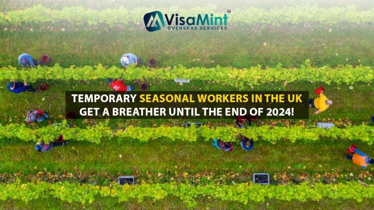 Temporary Seasonal workers in the UK get a breather until the end of 2024!